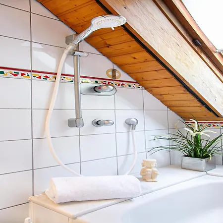 In Koblenz With Rhine Views & Sauna